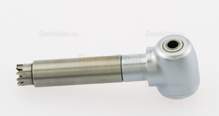 YUSENDENT/COXO CX235-1B/1C/1E Contra-angle Replacement Head
